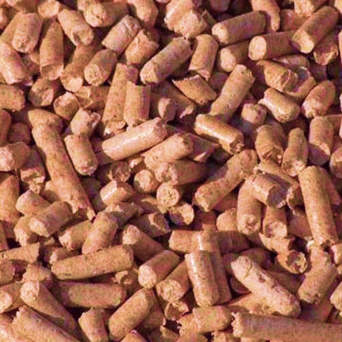 Shea briquettes