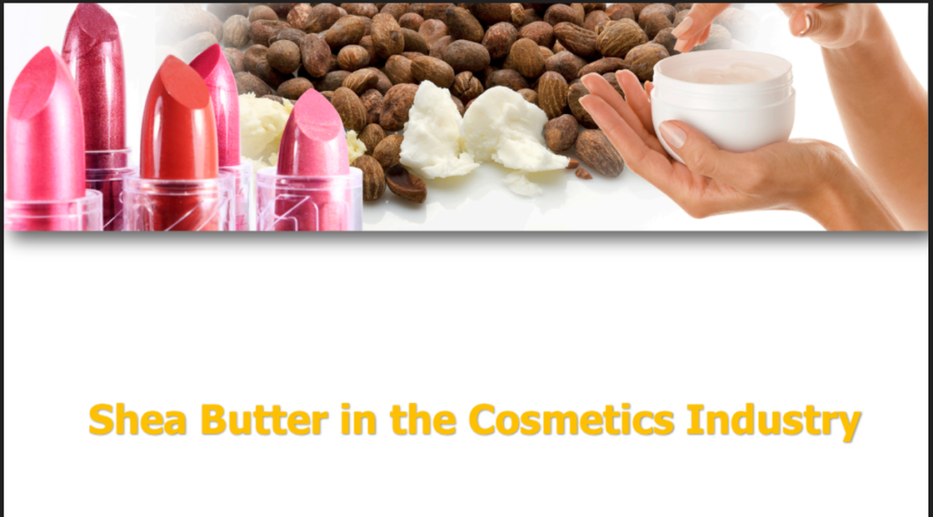 Shea Butter In The Cosmetics Industry Shea Market   Capture Decran 2021 12 21 132244 1024x567 