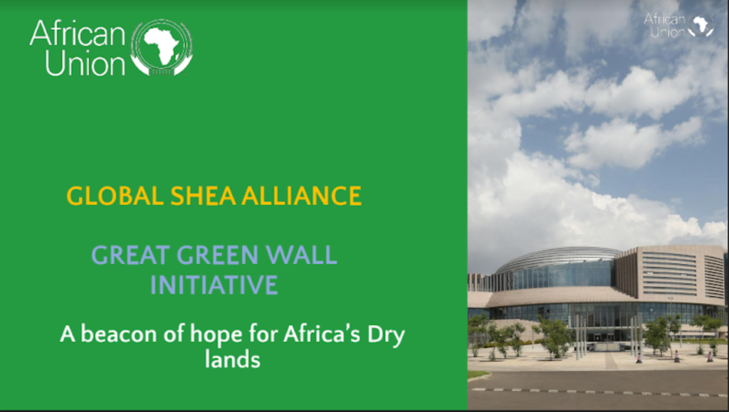 The Great Green Wall Initiative Shea Market