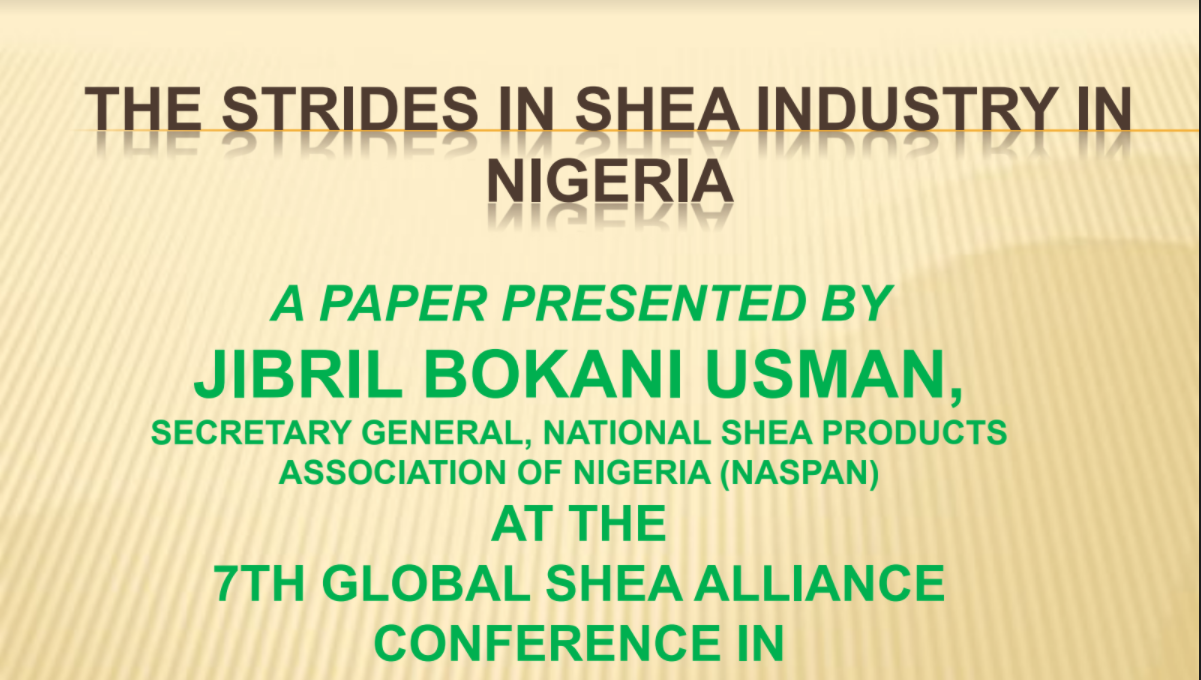 The Strides in the Shea Industry in Nigeria Shea Market