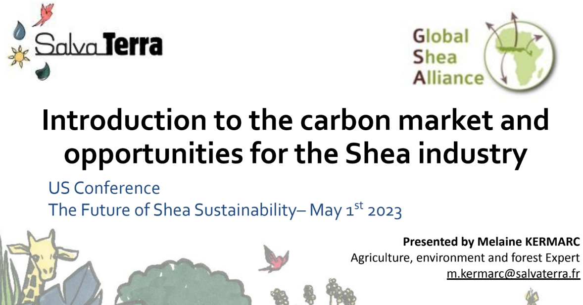 Introduction to the carbon market and opportunities for the Shea