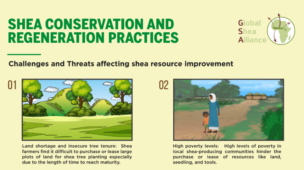 CONSERVATION AND REGENERATION PRACTICES FOR KARITE TREES - Shea Market