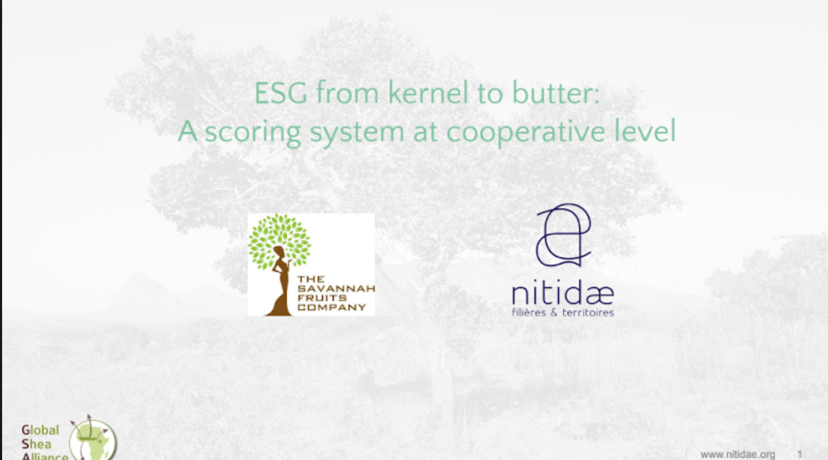 ESG from kernel to butter: A scoring system at cooperative level