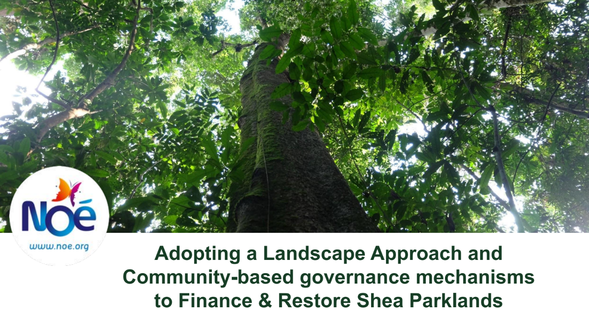 Adopting a Landscape Approach and Community-based governance mechanisms to finance &amp; Restore Shea Parklands