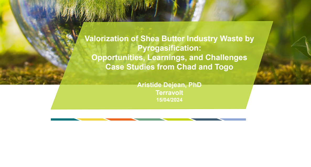 Valorization of Shea Butter Industry Waste by Pyrogasification: Opportunities, Learnings, and Challenges Case Studies from Chad and Togo
