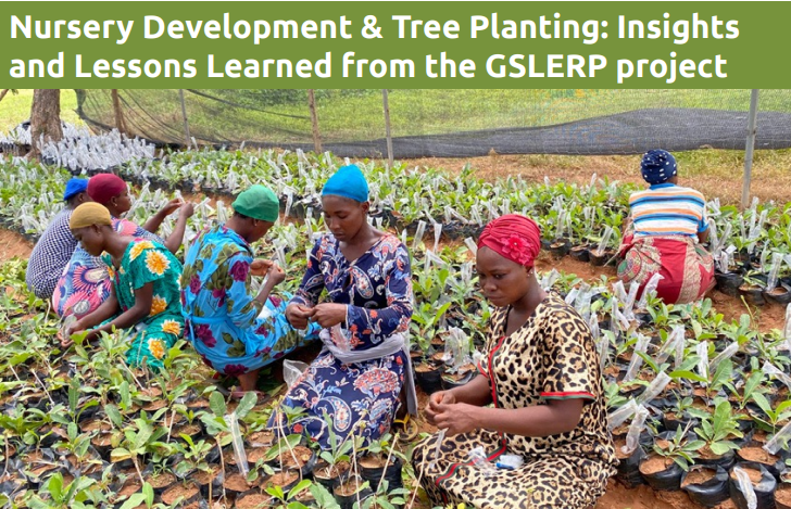 Nursery Development &amp; Tree Planting: Insights and Lessons Learned from the GSLERP Project