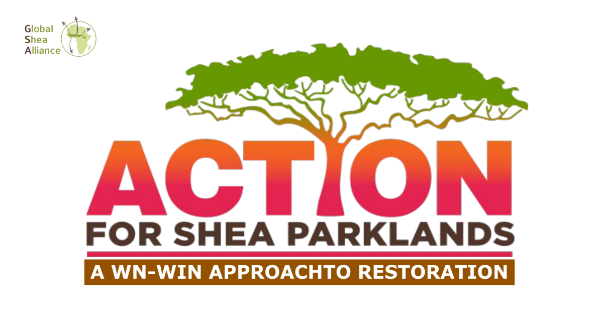  Action for Shea Parklands Journey (Global Shea Alliance)