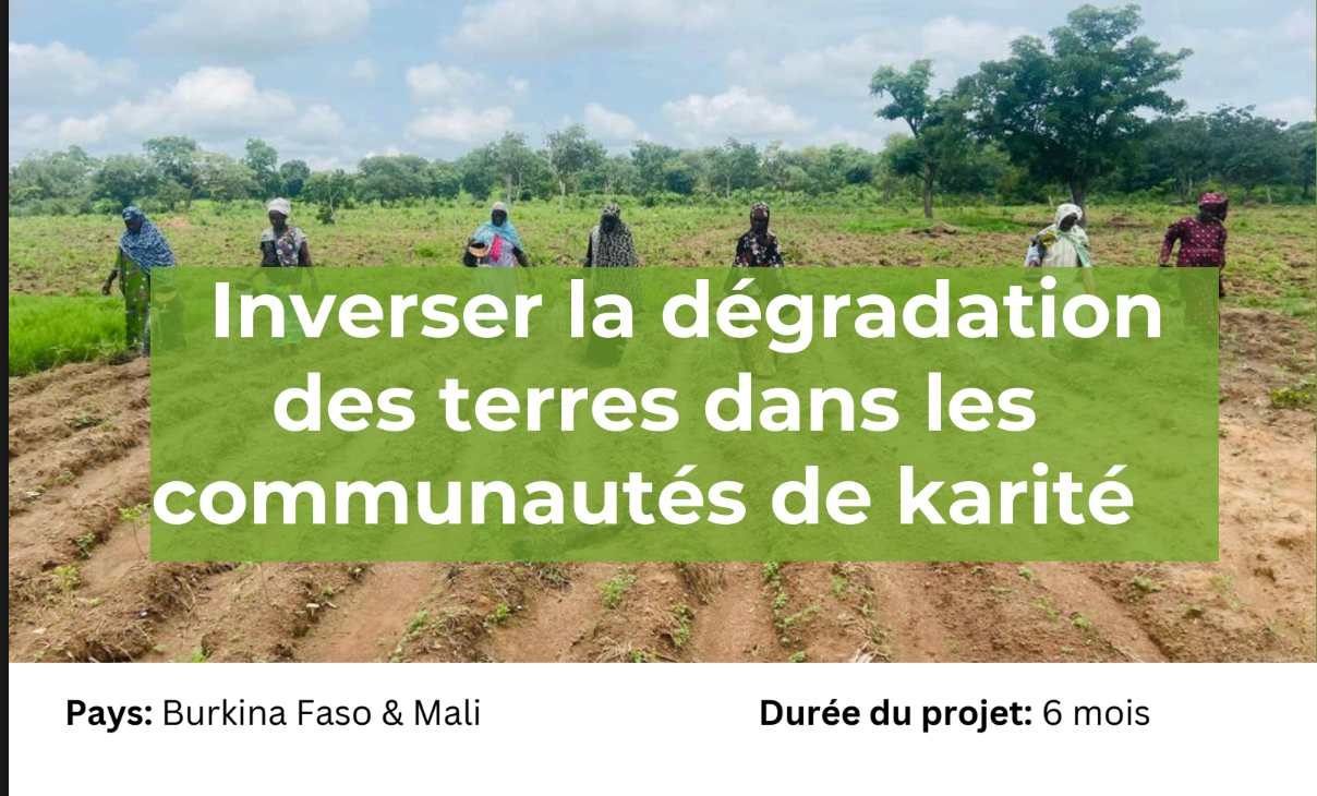  Reversing Land Degradation in Shea Communities (Global Shea Alliance)