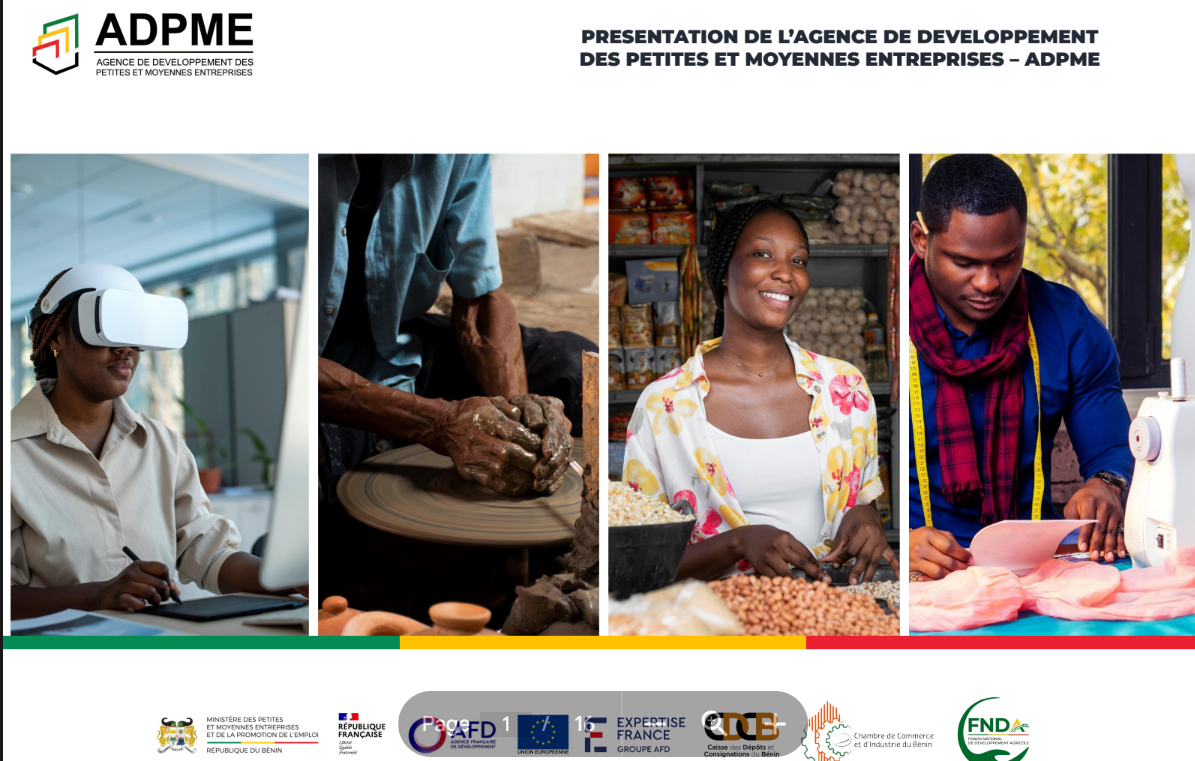   Financing Small Businesses (Agence de développement des petites et moyennes entreprise)
