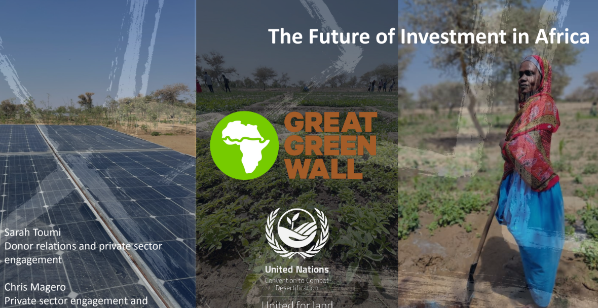 The Great Green Wall: Investment for the Future - UNCCD
